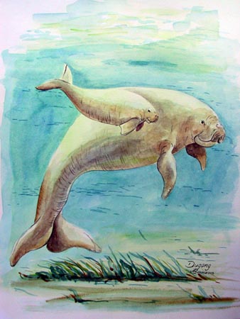 Dugong