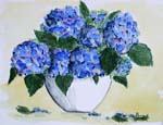 Hortensie