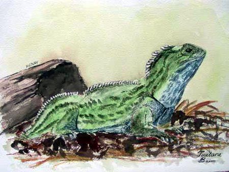 Tuatara